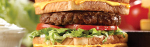 Grilled Cheese Burger